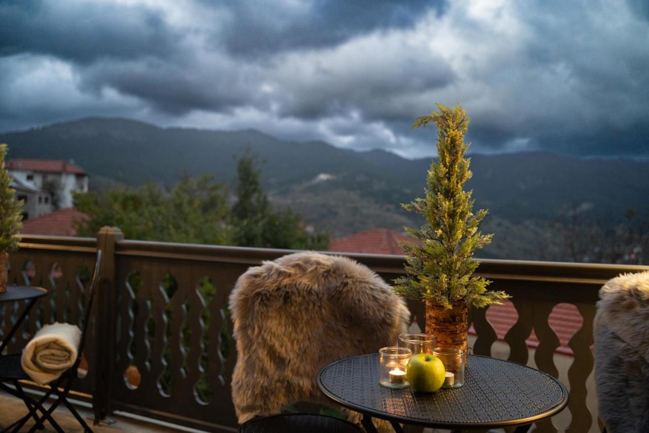 Dandy Villas Metsovo-Mezzo-Down Town-Up 5 מראה חיצוני תמונה